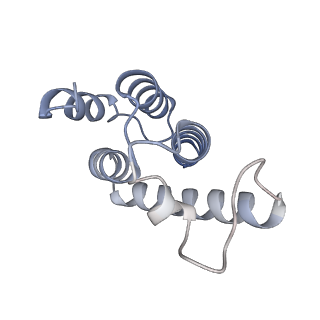17930_8pu7_B_v1-0
Structure of immature HTLV-1 CA-NTD from in vitro assembled MA126-CANC tubes: axis angle -20 degrees