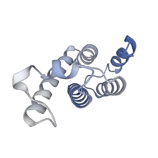 17930_8pu7_C_v1-0
Structure of immature HTLV-1 CA-NTD from in vitro assembled MA126-CANC tubes: axis angle -20 degrees