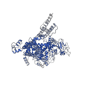 20478_6puo_B_v1-2
Human TRPM2 in the apo state