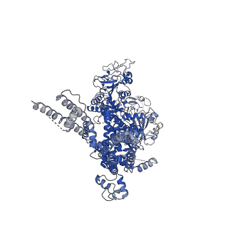 20478_6puo_C_v1-2
Human TRPM2 in the apo state