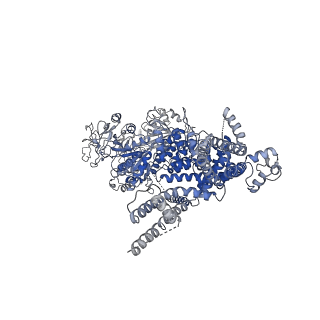 20480_6pus_A_v1-1
Human TRPM2 bound to ADPR and calcium