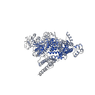 20480_6pus_A_v1-2
Human TRPM2 bound to ADPR and calcium