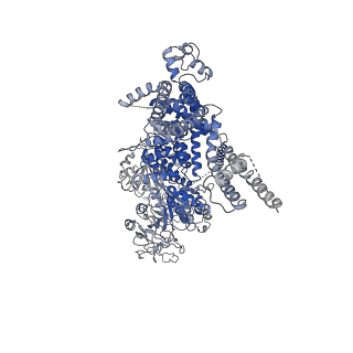 20480_6pus_B_v1-2
Human TRPM2 bound to ADPR and calcium