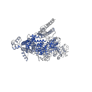 20480_6pus_C_v1-2
Human TRPM2 bound to ADPR and calcium