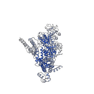 20480_6pus_D_v1-1
Human TRPM2 bound to ADPR and calcium