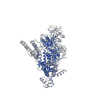 20480_6pus_D_v1-2
Human TRPM2 bound to ADPR and calcium