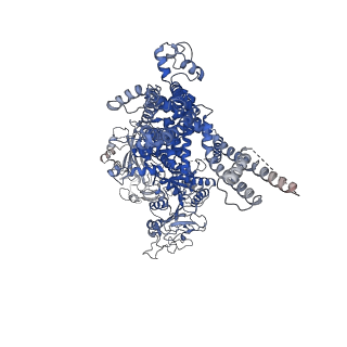 20482_6puu_A_v1-2
Human TRPM2 bound to 8-Br-cADPR and calcium