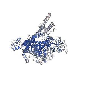 20482_6puu_B_v1-1
Human TRPM2 bound to 8-Br-cADPR and calcium