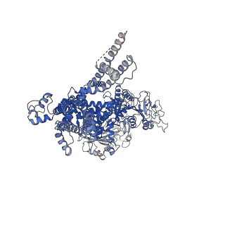 20482_6puu_B_v1-2
Human TRPM2 bound to 8-Br-cADPR and calcium