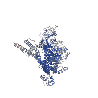 20482_6puu_C_v1-1
Human TRPM2 bound to 8-Br-cADPR and calcium
