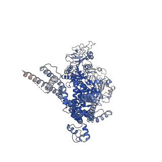 20482_6puu_C_v1-2
Human TRPM2 bound to 8-Br-cADPR and calcium