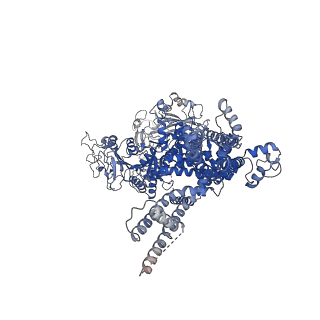 20482_6puu_D_v1-1
Human TRPM2 bound to 8-Br-cADPR and calcium