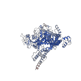 20482_6puu_D_v1-2
Human TRPM2 bound to 8-Br-cADPR and calcium