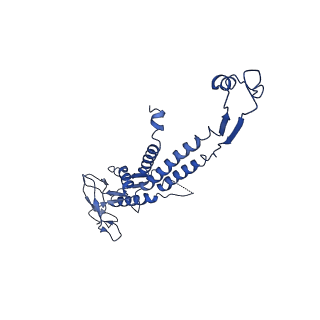 13664_7pv2_A_v1-2
GA1 bacteriophage portal protein