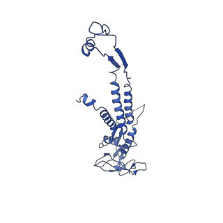 13664_7pv2_C_v1-2
GA1 bacteriophage portal protein