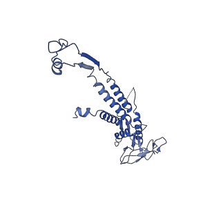 13664_7pv2_D_v1-2
GA1 bacteriophage portal protein
