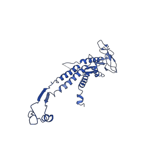 13664_7pv2_G_v1-2
GA1 bacteriophage portal protein