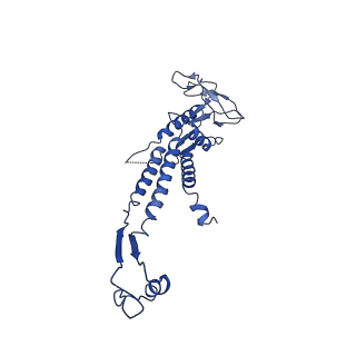 13664_7pv2_H_v1-2
GA1 bacteriophage portal protein
