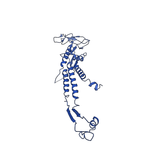 13664_7pv2_I_v1-2
GA1 bacteriophage portal protein