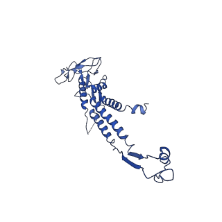 13664_7pv2_J_v1-2
GA1 bacteriophage portal protein