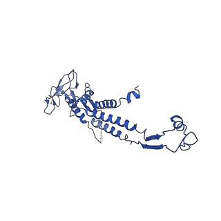 13664_7pv2_K_v1-2
GA1 bacteriophage portal protein