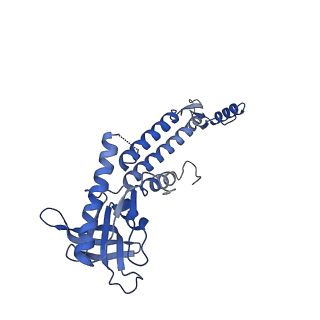 13665_7pv4_B_v1-1
PhiCPV4 bacteriophage Portal Protein