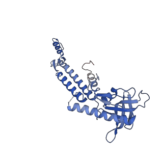 13665_7pv4_E_v1-1
PhiCPV4 bacteriophage Portal Protein