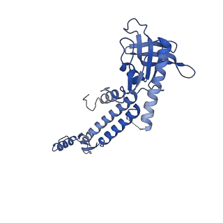 13665_7pv4_H_v1-1
PhiCPV4 bacteriophage Portal Protein