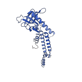 13665_7pv4_J_v1-1
PhiCPV4 bacteriophage Portal Protein