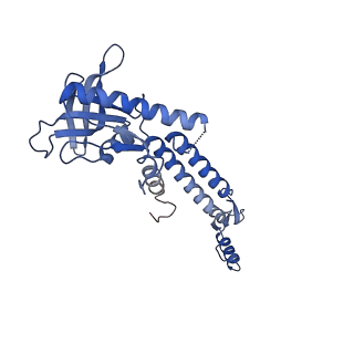13665_7pv4_K_v1-1
PhiCPV4 bacteriophage Portal Protein