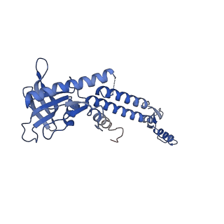 13665_7pv4_L_v1-1
PhiCPV4 bacteriophage Portal Protein