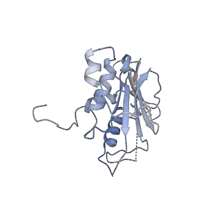 13667_7pvd_C_v1-2
Structure of the membrane soluble spike complex from the Lassa virus in a C1-symmetric map focused on the ectodomain