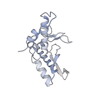 13667_7pvd_c_v1-2
Structure of the membrane soluble spike complex from the Lassa virus in a C1-symmetric map focused on the ectodomain
