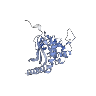 17952_8pv3_CB_v1-1
Chaetomium thermophilum pre-60S State 9 - pre-5S rotation - immature H68/H69 - composite structure
