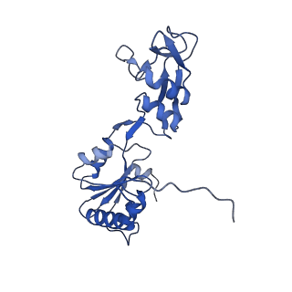17952_8pv3_CF_v1-1
Chaetomium thermophilum pre-60S State 9 - pre-5S rotation - immature H68/H69 - composite structure