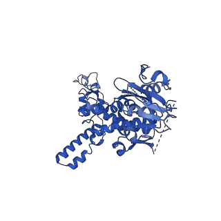 17952_8pv3_CJ_v1-1
Chaetomium thermophilum pre-60S State 9 - pre-5S rotation - immature H68/H69 - composite structure