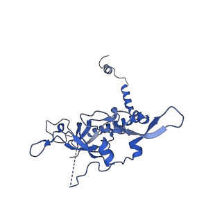 17952_8pv3_CK_v1-1
Chaetomium thermophilum pre-60S State 9 - pre-5S rotation - immature H68/H69 - composite structure