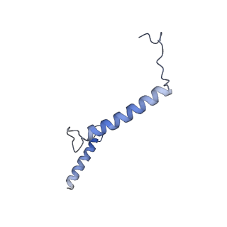 17952_8pv3_CL_v1-1
Chaetomium thermophilum pre-60S State 9 - pre-5S rotation - immature H68/H69 - composite structure