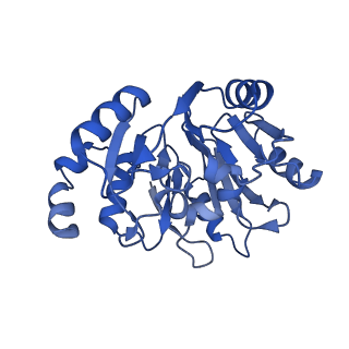 17952_8pv3_CN_v1-1
Chaetomium thermophilum pre-60S State 9 - pre-5S rotation - immature H68/H69 - composite structure