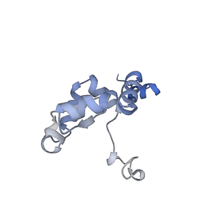 17952_8pv3_Cb_v1-1
Chaetomium thermophilum pre-60S State 9 - pre-5S rotation - immature H68/H69 - composite structure