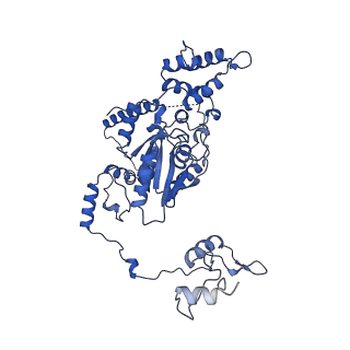 17952_8pv3_Cd_v1-1
Chaetomium thermophilum pre-60S State 9 - pre-5S rotation - immature H68/H69 - composite structure