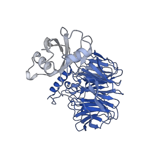 17952_8pv3_Ch_v1-1
Chaetomium thermophilum pre-60S State 9 - pre-5S rotation - immature H68/H69 - composite structure