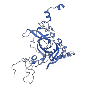 17952_8pv3_LB_v1-1
Chaetomium thermophilum pre-60S State 9 - pre-5S rotation - immature H68/H69 - composite structure