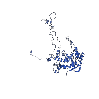 17952_8pv3_LC_v1-1
Chaetomium thermophilum pre-60S State 9 - pre-5S rotation - immature H68/H69 - composite structure