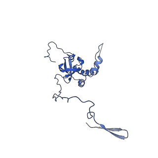 17952_8pv3_LE_v1-1
Chaetomium thermophilum pre-60S State 9 - pre-5S rotation - immature H68/H69 - composite structure