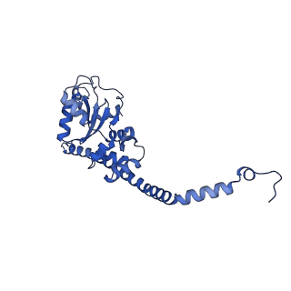 17952_8pv3_LF_v1-1
Chaetomium thermophilum pre-60S State 9 - pre-5S rotation - immature H68/H69 - composite structure