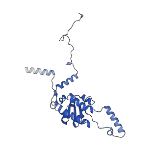 17952_8pv3_LG_v1-1
Chaetomium thermophilum pre-60S State 9 - pre-5S rotation - immature H68/H69 - composite structure