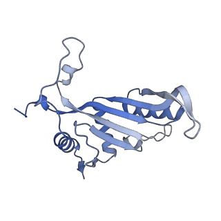 17952_8pv3_LJ_v1-1
Chaetomium thermophilum pre-60S State 9 - pre-5S rotation - immature H68/H69 - composite structure