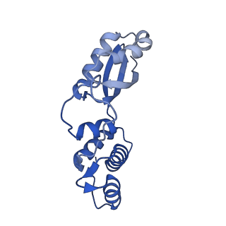17952_8pv3_LK_v1-1
Chaetomium thermophilum pre-60S State 9 - pre-5S rotation - immature H68/H69 - composite structure