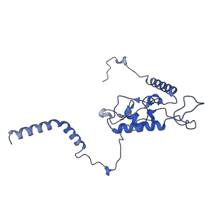 17952_8pv3_LL_v1-1
Chaetomium thermophilum pre-60S State 9 - pre-5S rotation - immature H68/H69 - composite structure